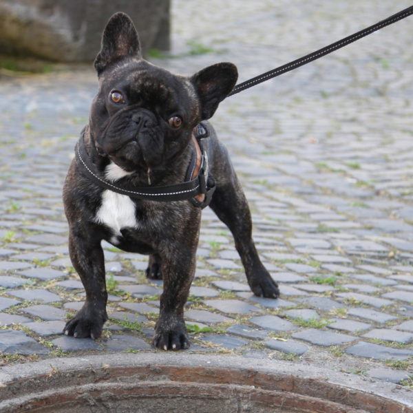 Jugendfeuerwehr füllt Bürgerbrunnen 2013