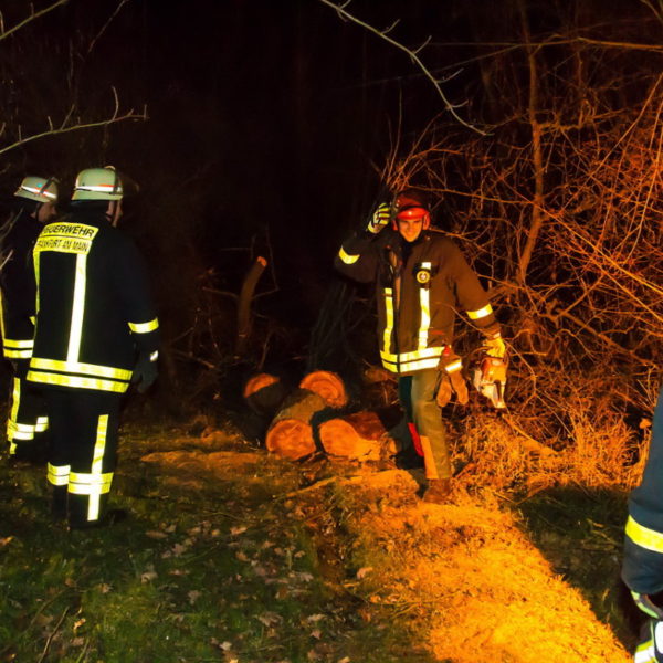 28.01.2016 Übung Kettensäge am Schützenhaus