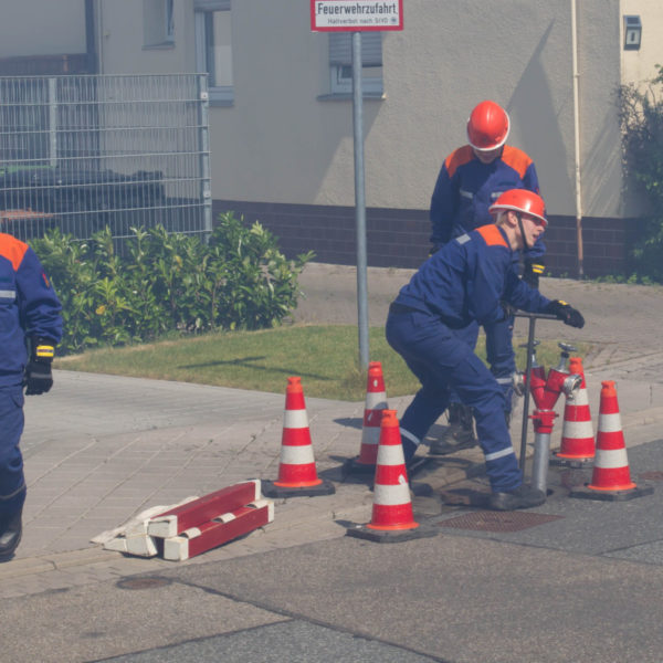 Feuerwehrfest Freiwillige Feuerwehr Nieder-Erlenbach 24.06.2017