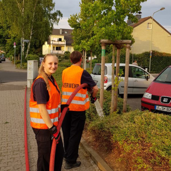 Bewässern der jungen Bäume