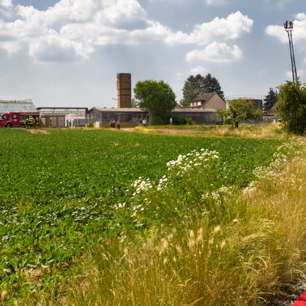 Grossübung 17.06.2023 in Nieder-Erlenbach