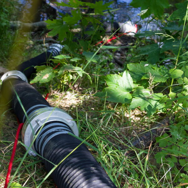 Grossübung 17.06.2023 in Nieder-Erlenbach